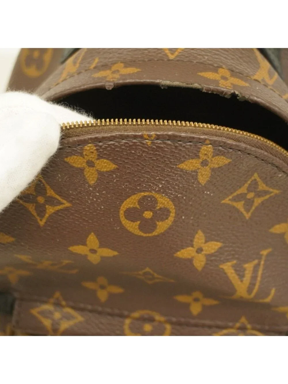 Louis Vuitton Backpack Monogram Palm Spring Mini Brown - Picture 8 of 10